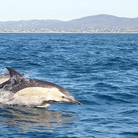Golden Club Aparthotel Cabanas De Tavira