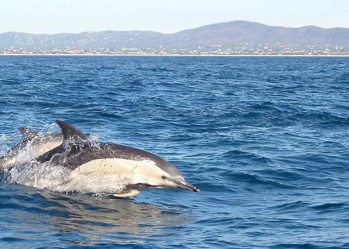 Golden Club Aparthotel Cabanas De Tavira