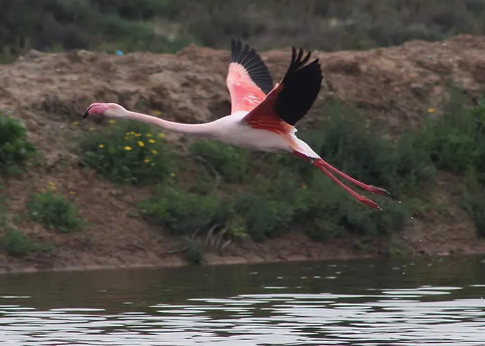 Appart hôtel Golden Club 3*